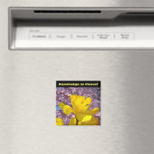 La connaissance magnet de la serrure scolaire est  (In Situ (Lave-vaisselle))