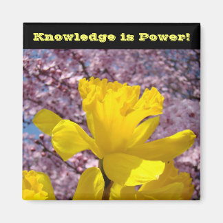 La connaissance magnet de la serrure scolaire est