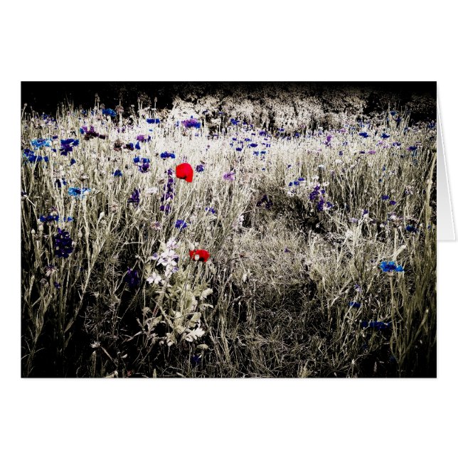 La couleur d'isolement fleurit la carte (Devant horizontal)