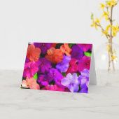 La couleur multi fleurit la carte - blanc (Fleur jaune)