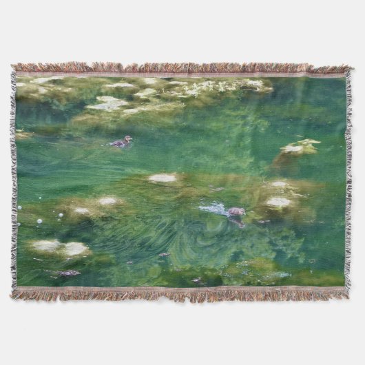 La couverture aux canards de Monet  (Devant)