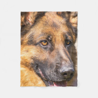 La couverture de berger allemand - le shedder