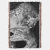 La couverture de jet de penseur (devant Vertical)