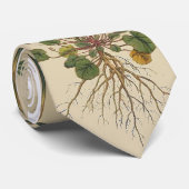 La cravate botanique des jardiniers (Roulé)