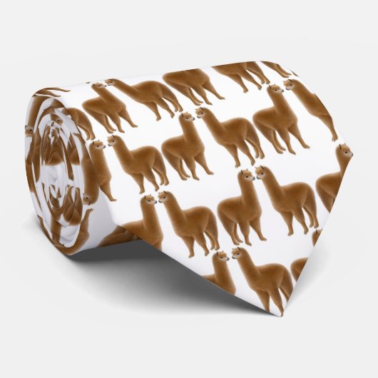 La cravate d'alpaga (Roulé)