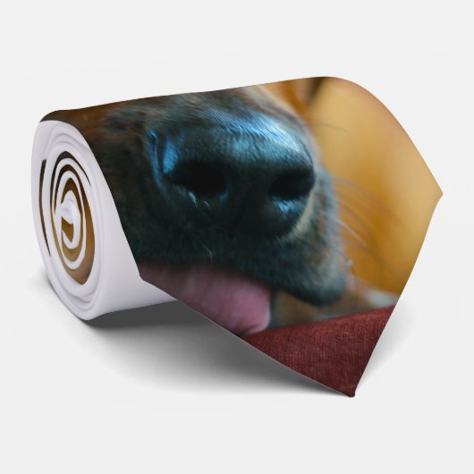 La cravate de beau (Roulé)