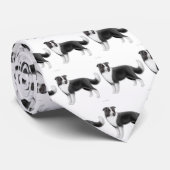La cravate de border collie (Roulé)