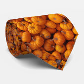 La cravate de courges de citrouilles de bébé (Roulé)