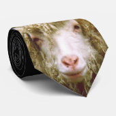 la cravate de moutons (Roulé)