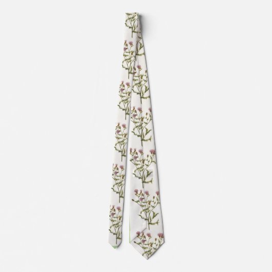 La cravate des hommes, chardon écossais (Dos)