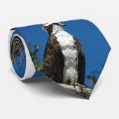 La cravate des hommes de faucon de balbuzard (Roulé)