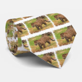 La cravate des hommes de Jaguar (Roulé)