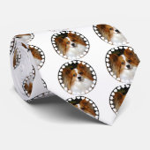 La cravate des hommes de Papillon (Roulé)