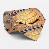La cravate des hommes de tortue de désert (Roulé)