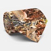 La cravate des hommes d'écureuil moulu de Sonoran (Roulé)