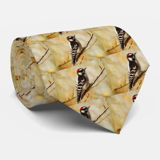 La cravate des hommes duveteux texturisés de (Roulé)