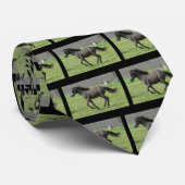 La cravate des hommes galopants de colt (Roulé)