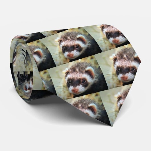 LA CRAVATE "FERRET" (Roulé)