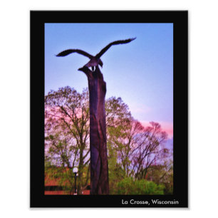 La Crosse Eagle Foto Afdruk