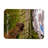 La Crosse, Wisconsin Magneet (Horizontaal)