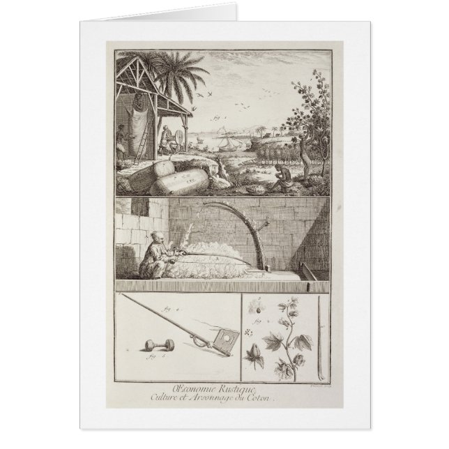La culture du coton, du 'Encyclopedia (Devant)