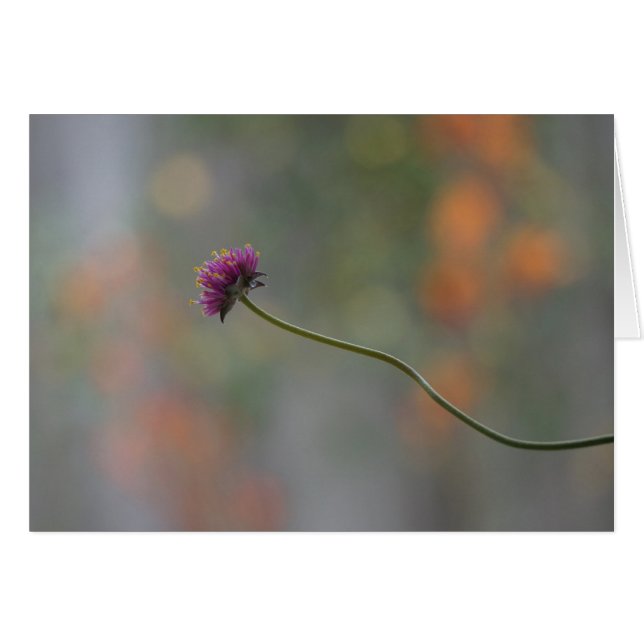 la danse (Devant Horizontal)