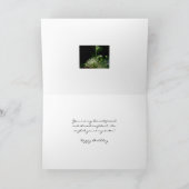 La dentelle de la reine Anne Joyeuse carte de soeu (Intérieur)