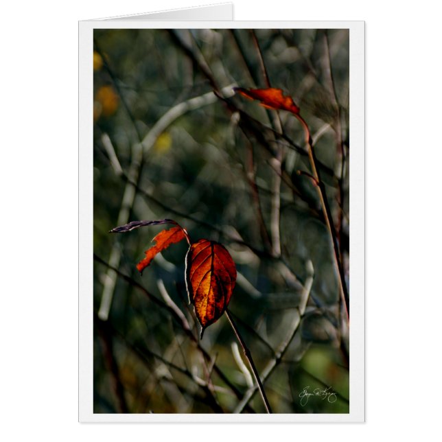 La Dernière Danse d'automne (Devant)