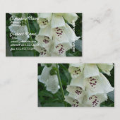 La digitale blanche fleurit des cartes de visite (Devant / Derrière)