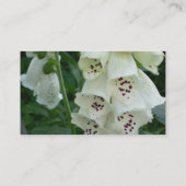 La digitale blanche fleurit des cartes de visite (Dos)