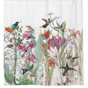 La digitale de crocus de colibri fleurit le rideau