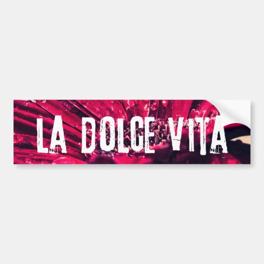 La Dolce Vita Gerbera Daisy Bumpersticker (Voorkant)