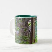 La DZ tasse de cerfs communs (Devant gauche)