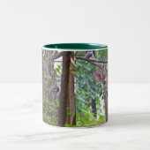 La DZ tasse de cerfs communs (Centre)