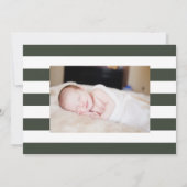 La Faire-part de naissance de la pinède (Dos)