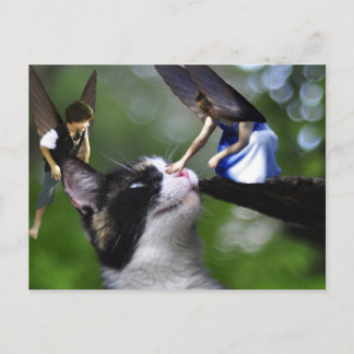 La Fairys et la carte postale Kitty Cat