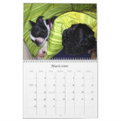 La famille 2013 poursuit le calendrier (Mar 2026)