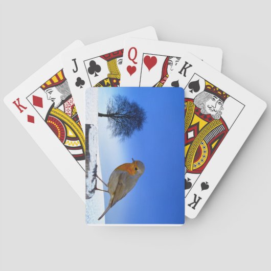 La faune Les cartes de jeu (dos)