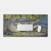 La faune photographique américaine de l'alligator (Clavier et souris)