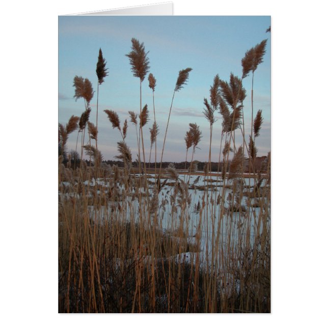 La ferme de Laudholm (Devant)