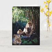 La Fierté, carte de voeux (Fleur jaune)