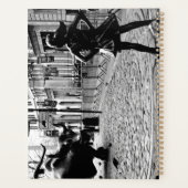 La fille sans peur (Dos)