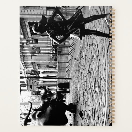 La fille sans peur (Dos)