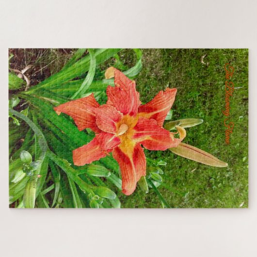 La flamme en fleurs - Puzzles d'Ember tranquilles (Horizontal)