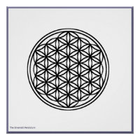 La Fleur de la Vie - Black on White Poster