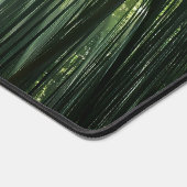 La forêt de Bamboo (Coin)