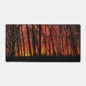 La forêt de Firey Sunset (Recto)