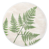 La fougère botanique part du bouton d'art (Devant)