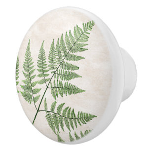 La fougère botanique part du bouton d'art