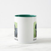 La frontière affligée 2 a dégrossi tasse de (Centre)